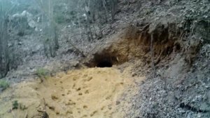 Обзор фотоловушки BolyGuard SG2060-K