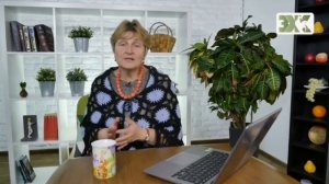 СЪЕДОБНЫЕ СОРТА РЯБИНЫ   ЛУЧШИЕ СОВЕТЫ