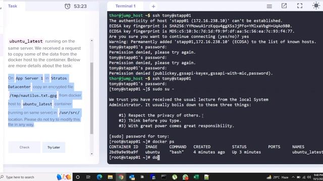 Copying a file from docker host to the container. смотреть онлайн