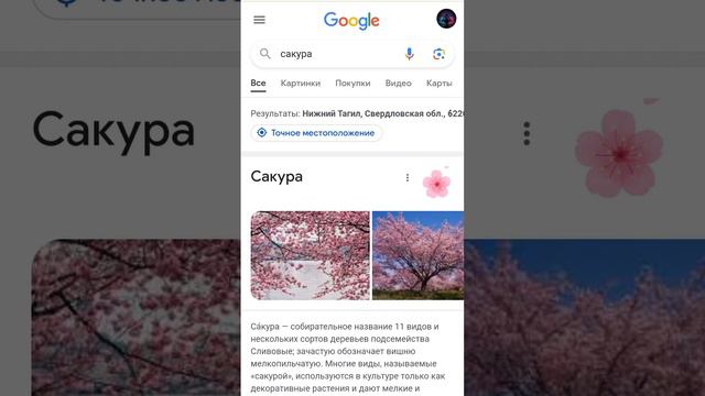 31 января 2024 г. смотреть онлайн