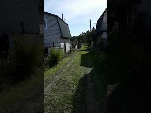 Дела дачные