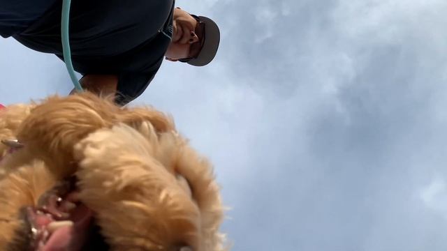 Ruby’s Walk! смотреть онлайн