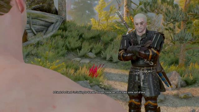 Gerart of Rivia vs Pirate Hammond Witcher 3 смотреть онлайн