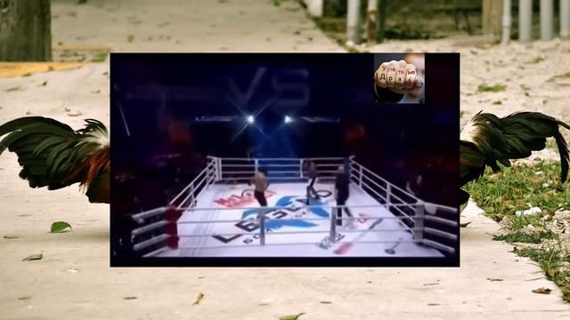 Александр Емельяненко отлупил Боба Саапа смотреть онлайн