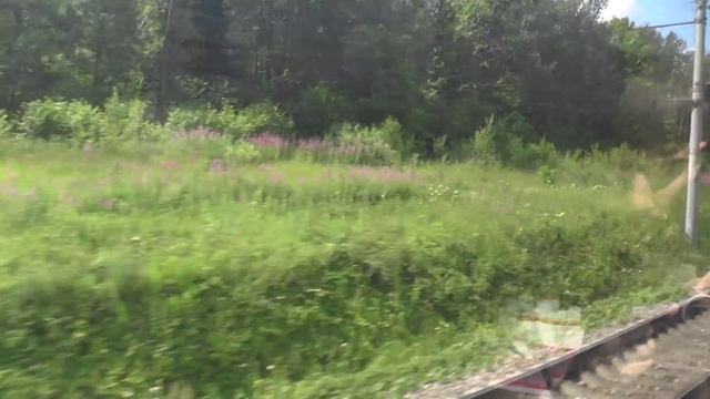 От ст. Можайск до ст. Бородино на ЭД4М-0468 ЦППК смотреть онлайн