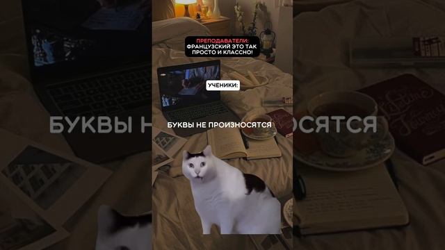 Но французский язык можно изучать в легкости и радости ??? А мы вам поможем с этим ?? смотреть онлайн