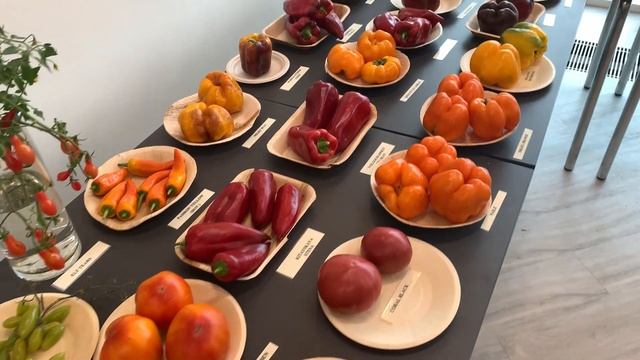 Выставка томатов 2022 Таллинн и Кегумс смотреть онлайн