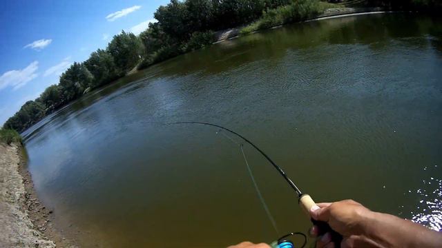 Пока вы ходите по выставкам я наловил на спиннинг ультралайт смотреть онлайн