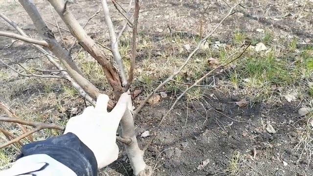 Я богатая деревенская баба!?? Мой 2ой участок? в деревне. смотреть онлайн