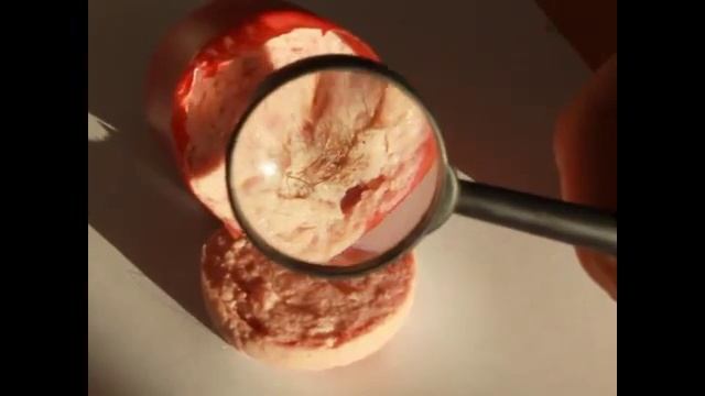 Колбаса с волосами