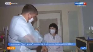 Промышленное разведение шмелей в Ставропольском крае