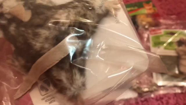 Покупки из зоомагазина//Подарки животным на Новый год смотреть онлайн