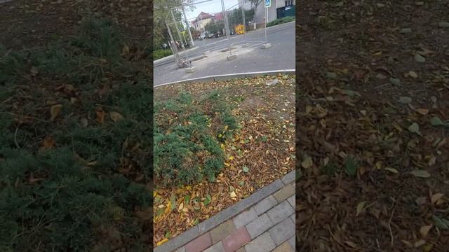 Катаем с Димой, ВСТРЕТИЛИ ЧЕБУРАШКУ? смотреть онлайн