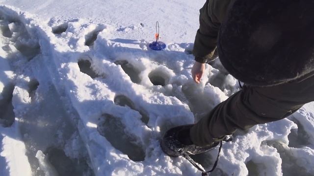 Зимняя рыбалка на жерлицы. Правильная расстановка жерлиц на озере увенчалась поимкой трофейной щуки смотреть онлайн