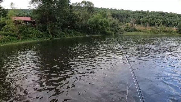 Delaware's West Branch Anglers Resort Fly Fishing, Aug. 2021