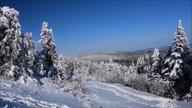 Зимний лес смотреть онлайн