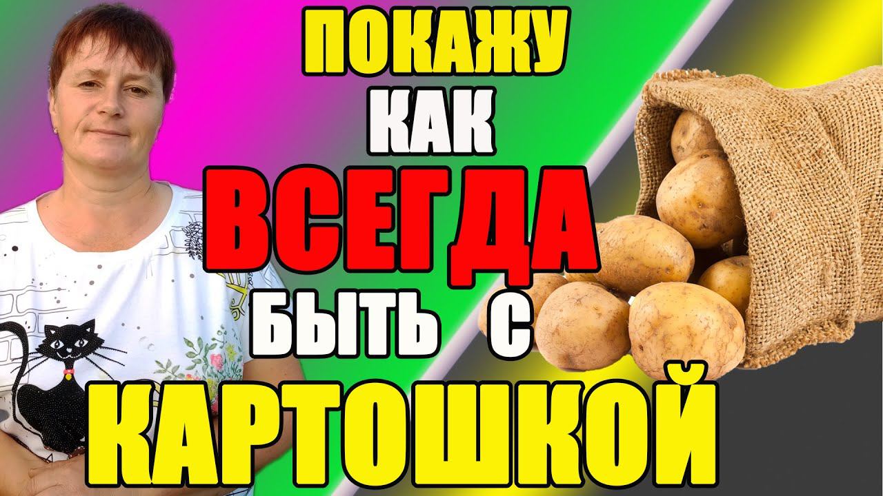 Мой СЕКРЕТ хорошего УРОЖАЯ картофеля. смотреть онлайн