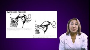 Биодинамика нижней челюсти. Артикуляция. Окклюзия