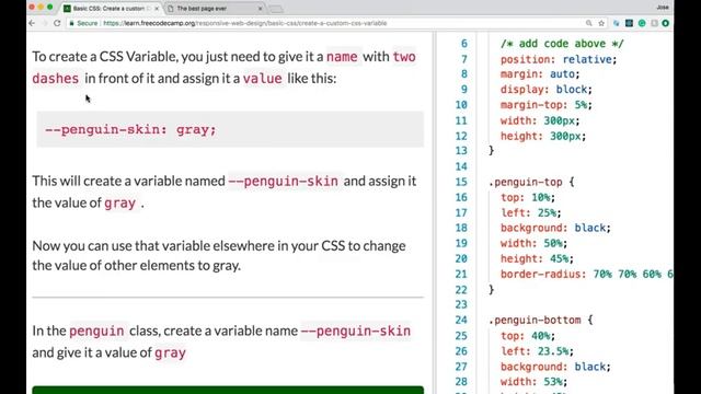 freeCodeCamp Basic CSS, Use Hex and RGB to Mix Colors, CSS Variables, & Style Fallbacks 6 смотреть онлайн