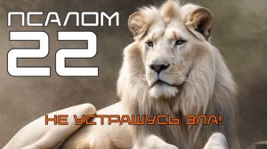 БИБЛИЯ - Не устрашусь зла (Псалом 22).mp4