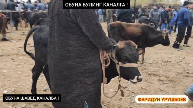 МОЛБОЗОР ИСТАРАВШАН...