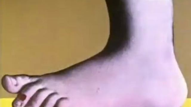 Monty Python's Flying Circus Intro primera temporada смотреть онлайн