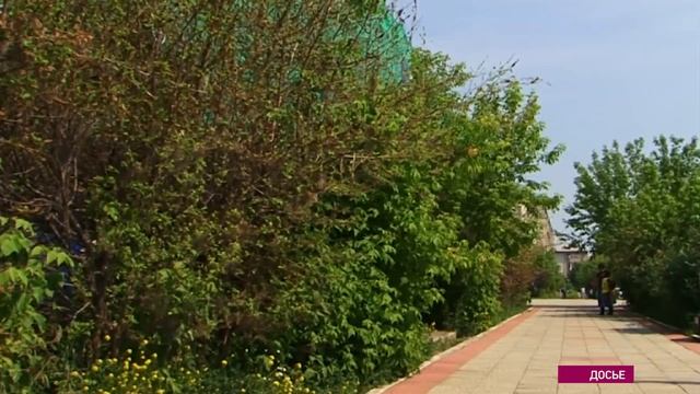 Как победить моль? смотреть онлайн