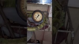 лодочный мотор сеа про 9.8 ремонт термостата