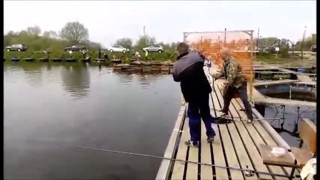 Рыбалка в Подмосковье. Бешеный клёв форели! Савельево 1, 20.05.17г смотреть онлайн