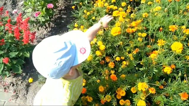 Экобиосад 4 школа.  Костик упал в клумбу. 2,1