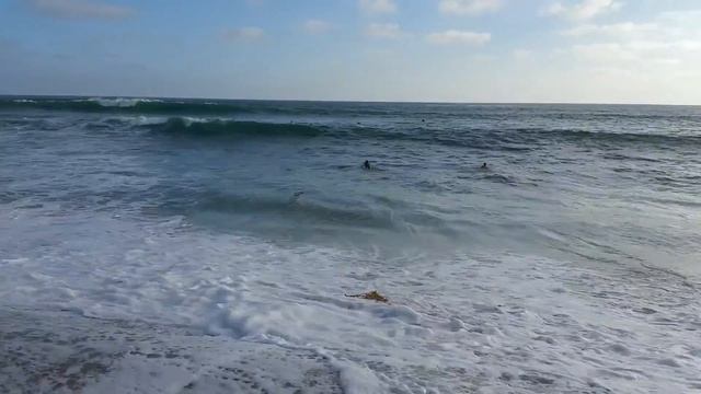 Калифорния, Сан Диего, Пляж в Карлсбад...part2