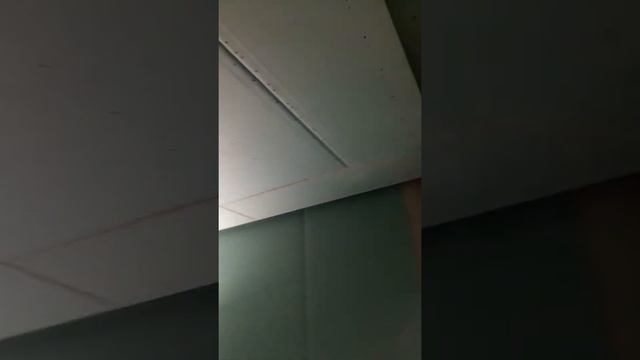 Фрезеровка гипсокартона на потолке для скрытого освещения по периметру коинаты смотреть онлайн