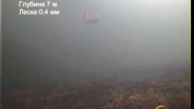 Игра зимних блесен и балансиров 5 смотреть онлайн