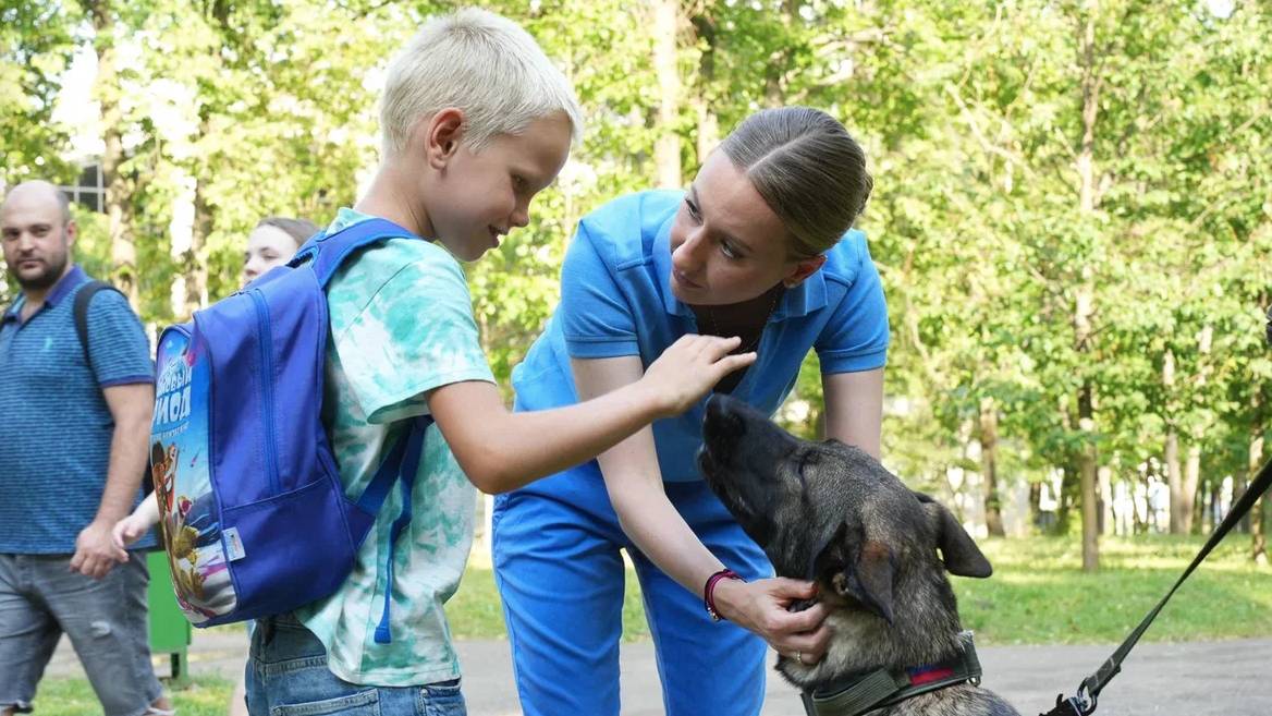 Дарья Борисова — еженедельный дайджест