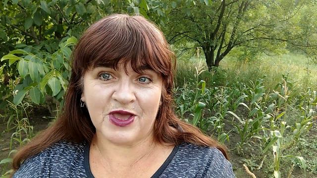 Так много есть о чём вам рассказатьl Билеты куплены, свой город пока не снимаюlПростые моменты жизн смотреть онлайн