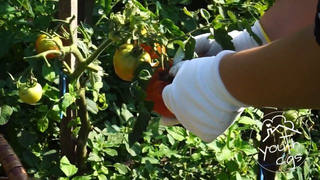 Християнська короткометражна історія «Три історії заздрості» смотреть онлайн