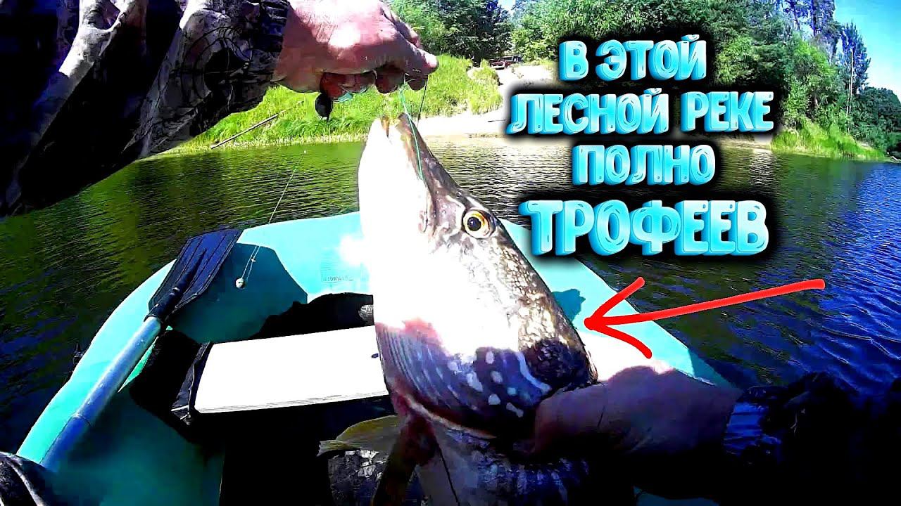 Рыбалка на бутылки с лодки в реке Керженец Ловля сома и щуки жерлицы из бутылок смотреть онлайн