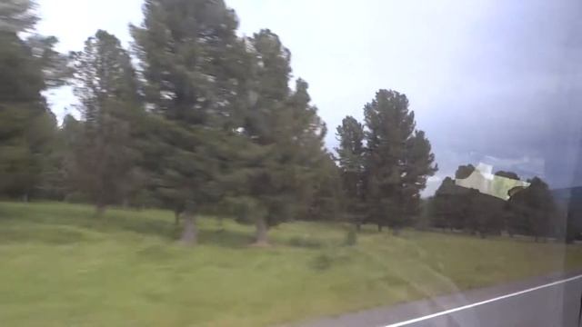 Кедровые рощи Алтай смотреть онлайн