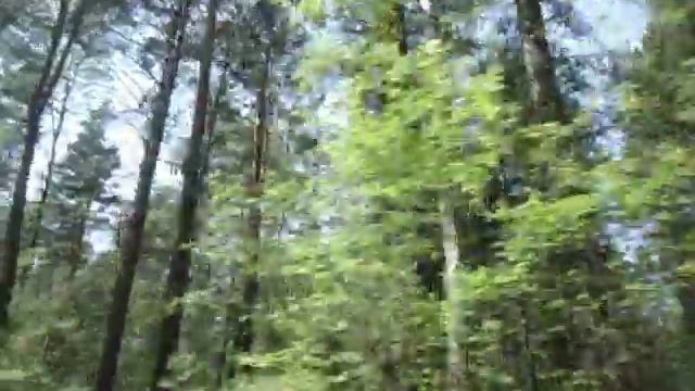НАША АЛТАЙСКАЯ ПРИРОДА ИЗ ОКНА АВТОМОБИЛЯ. Видео Ольги Черновой 14 мая смотреть онлайн