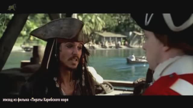 О вреде пьянки и бульонных кубиках... смотреть онлайн