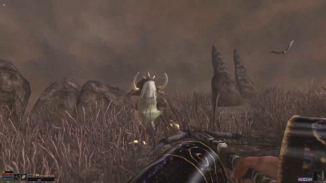 Lets Play Morrowind Permadeath Episode 18: A Nixhound Ate My Husband смотреть онлайн