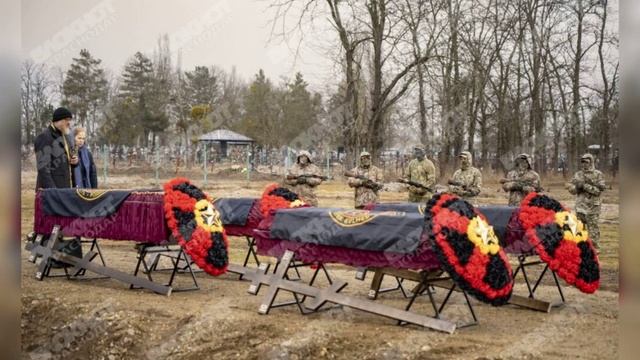 ПАМЯТИ ПОГИБШИХ В СВО смотреть онлайн