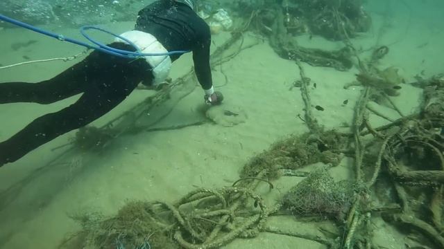 Gặp Được Ổ Cá Chình Đây Là Góc Chà Nhiều Cá Nhất Pháp Từng Lặn | P 225 смотреть онлайн