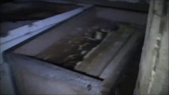 зимовка пчел без утепления