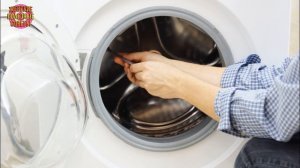 Оказывается, вот куда в стиральной машине пропадают носки! Я и не догадывалась об этом!