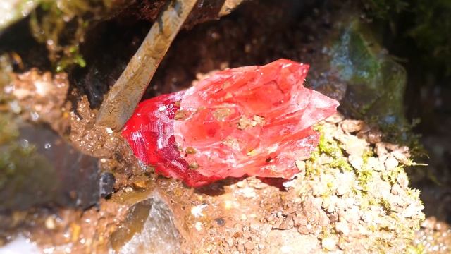 Treasure hunt in the wilderness,colored crystals are gifts from nature, citrine,red crystal,amethys смотреть онлайн