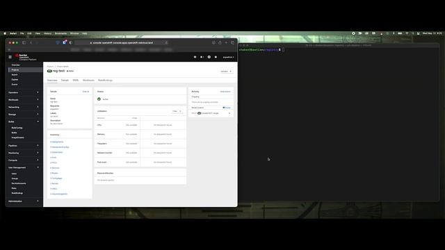 Accessing the OpenShift Internal Registry смотреть онлайн