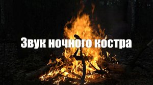 Звук ночного костра и леса