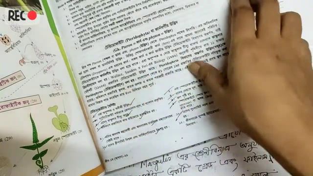 অধ্যায় - ৬ ( ব্রায়োফাইটা ও টেরিডোফাইটা ) - ( পার্ট - ১ ) - সূচনা | BIOVENGER смотреть онлайн