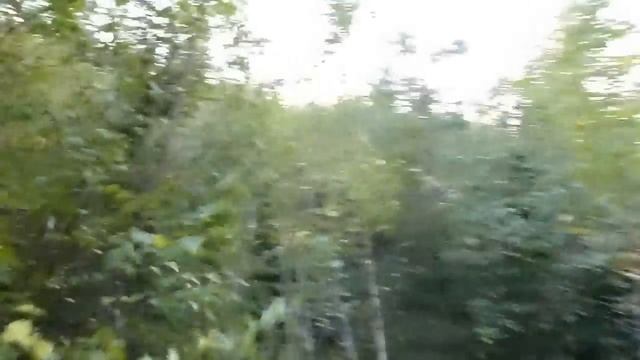 Болотоход "ЛЕСНИК" смотреть онлайн